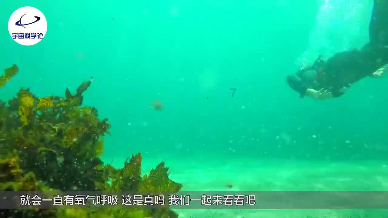 Burberry热水袋“无用之用”
